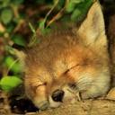 Emily Deck - @zapgurl5 - Twitter