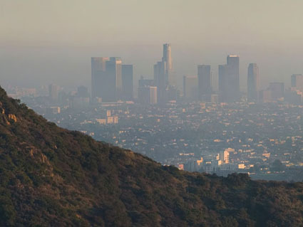 ThugLifex's profile picture. 