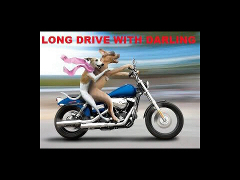 modigovt's profile picture. 