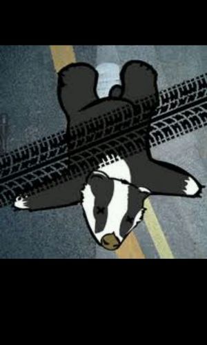 Thebadgersnose's profile picture. 