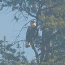 Sam Franke - @Slanty922 - Twitter