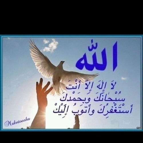 asd_5595's profile picture. 