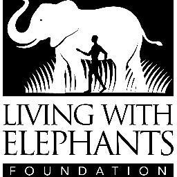 Living With Elephants provides rescued African elephants a second chance and safe home in the wilderness of Botswana. https://t.co/7CvX0rMKbk