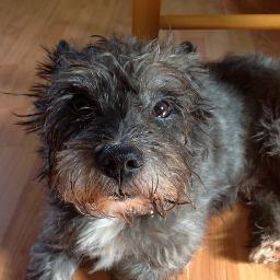 mariemcmahon3's profile picture. 