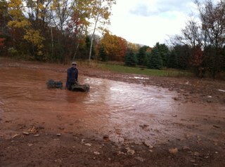 onip1223's profile picture. 