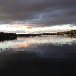 blondgrrl's profile picture. Gardener, photographer, dog lover, people okay too. Lifelong Liberal and proud of it-