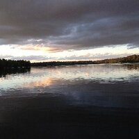 CJN (@blondgrrl) 's Twitter Profile