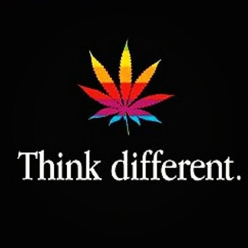 BC_buddies's profile picture. 