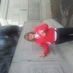 denise richards (@deniseclooney) Twitter profile photo denise richards (@deniseclooney) Twitter profile photo