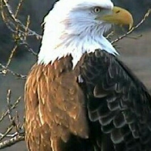 mj121460's profile picture. 