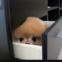 jenna culver - @smoshrox132 - Twitter