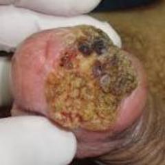 ╚»ʆuรรɑɳɑ«╝ O rei dos reis Foi traido e sangro nessa terra , mais morre como homem é oo premio da guerra !
http://t.co/8by7ERukfT