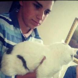 juliofelixcipas's profile picture. ...