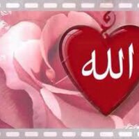 noor (@madamnoor77) 's Twitter Profile