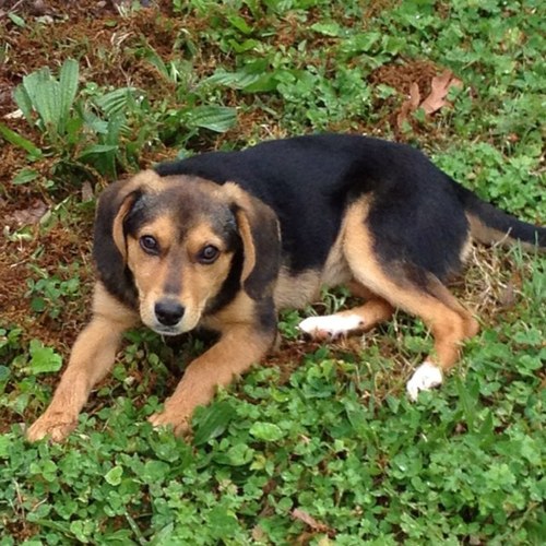 cindymomof4's profile picture. 