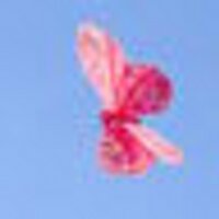 Pap (@smm) 's Twitter Profile