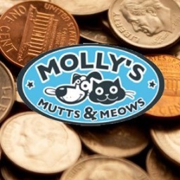Molly's Mutts and Meows is a foster-based 501c3 non-profit organization. Our goal is to help pets from the LA area shelters find loving, new forever homes.