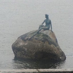 MakingAName's profile picture. Born in the East, made my way Westward till my toes reached the Pacific. Food, friends, music, life, love, kids and animals underfoot..