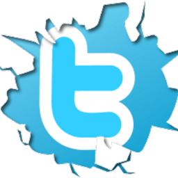 GANHE SEGUIDORES NO TWITTER