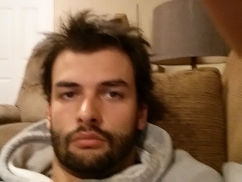 shrobtel's profile picture. 