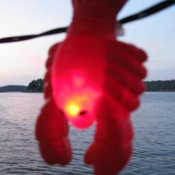 futurecruiser's profile picture. Software Engineer.  Fabric Collector.  Sailor.  #FBR