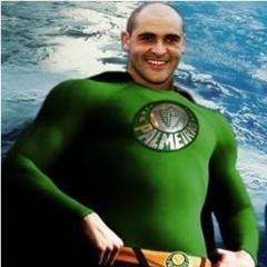 Olê Olê eu canto eu sou Palmeiras até morrer de alegria ♪