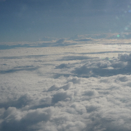 jennylorez's profile picture. 