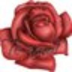 Mente lógica, alma sensible, espíritu sarcástico, rebelde y defensor de todo lo bello, que mi escencia de mujer ama