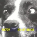 Cross-Eyed Colton - @CrossEye_Colton - Twitter