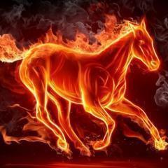 hossmasterelite's profile picture. brunswick track/xc