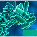 Otis Washington - @orwash - Twitter