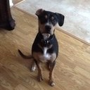 Eve brewer - @y_brewer - Twitter