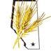 Fabian Seed Farms Inc. (@abseedman) Twitter profile photo Fabian Seed Farms Inc. (@abseedman) Twitter profile photo