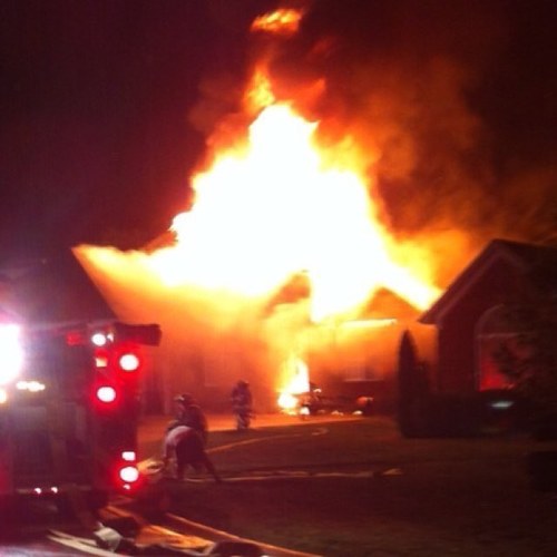 timkraemerica's profile picture. 