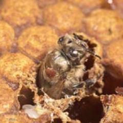 4Health29's profile picture. Our strategy mlm
From $ 0 to financial freedom

skype: mohamedbenzeriah
email:  mohamedbenzeriah@gmail.com