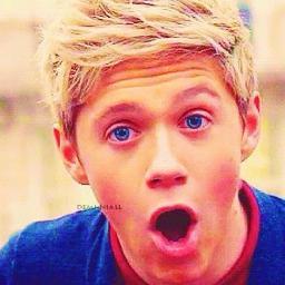 Hello! I love 1D and i make this twitter to try to talk with you =D (i'm brazilian, and sorry my bad inglish :x ) #girl.  FC de PJO e One Directon :D
