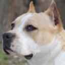 Eric Lustig - @EricLustig2 - Twitter