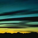 Nancy Hoff - @desertnancy - Twitter