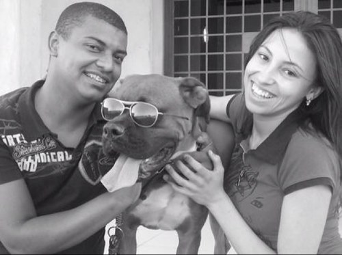 Bko, criador de Bulldog Campeiro Sao Paulo-SP,25 @clubefollowback