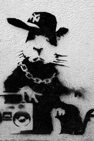 aqaprince's profile picture. 