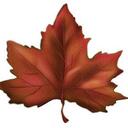 Heather Murdoch - @leo_kia - Twitter