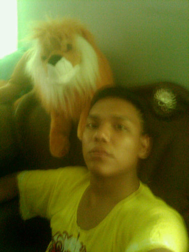 Macai