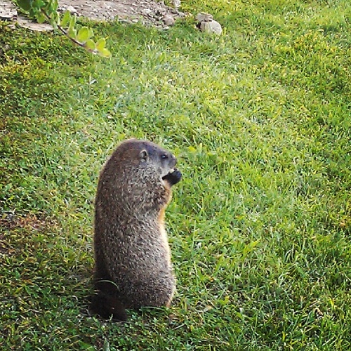 mastetz's profile picture. 