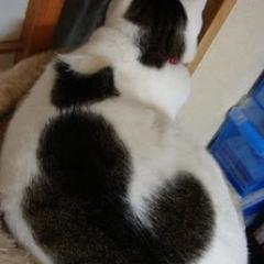 Karl_ta's profile picture. 