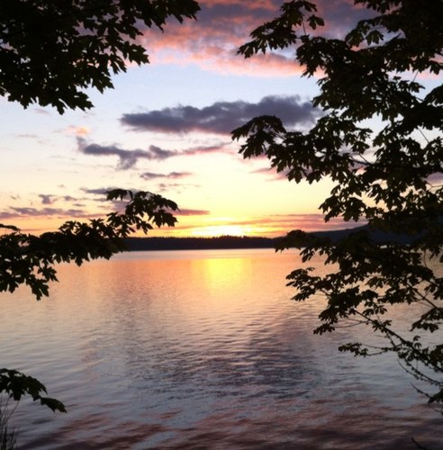 mellkoh's profile picture. Proud Canadian, intermittent twitterer, avid reader, amateur photographer, sporadic exerciser, lover of bacon. Life's a journey, enjoying the ride!