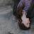 imASHAYNED's profile image
