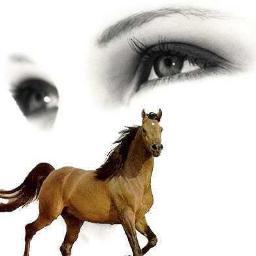 alkabtenbasha's profile picture. 