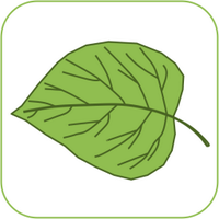 The Plant Lab (@theplantlabuk) 's Twitter Profile