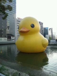 aoniyossi's profile picture. 偶然見た韓国ドラマの「赤と黒」でKim Nam Gil さんに見事にハマりました。　舞台や映画、外国ドラマも好き。