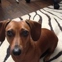 rita boyer - @BoyerRita - Twitter